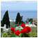 Window view, Capri Island